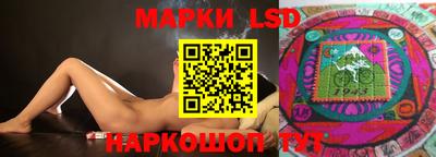 спиды Кингисепп
