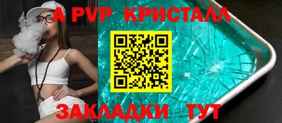 спиды Кингисепп