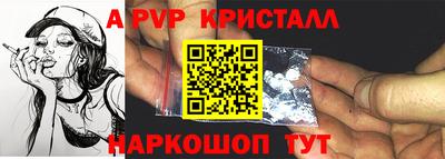 спиды Кингисепп