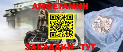 спиды Кингисепп