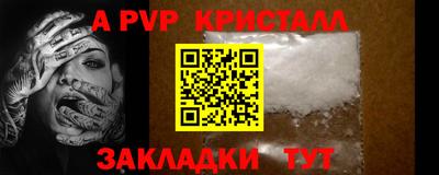 спиды Кингисепп