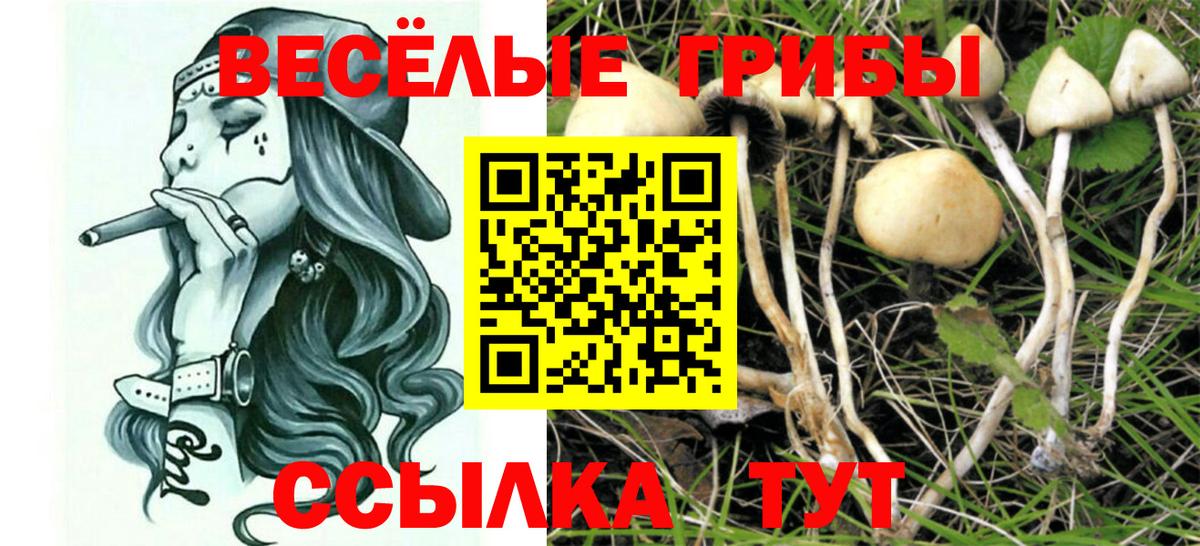 Галлюциногенные грибы Psilocybe  Вход с VPN  Псилоцибиновые грибы Magic Shrooms  Кулебаки 